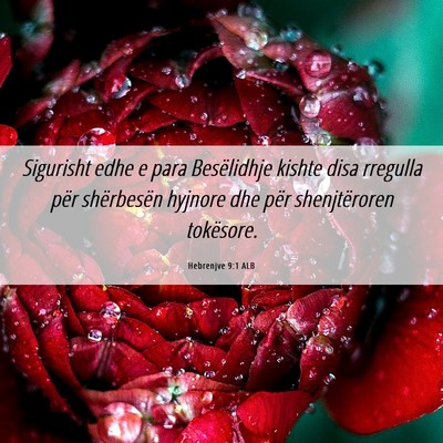 Picture 06 - Hebrenjve 9:1 ALB - Sigurisht edhe e para Besëlidhje kishte disa - Bible Verse Picture