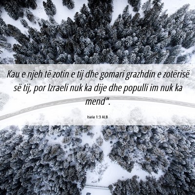 Picture 06 - Isaia 1:3 ALB - Kau e njeh të zotin e tij dhe gomari grazhdin e - Bible Verse Picture