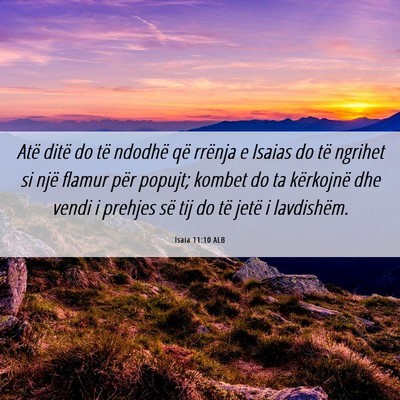 Picture 06 - Isaia 11:10 ALB - Atë ditë do të ndodhë që rrënja e Isaias do - Bible Verse Picture