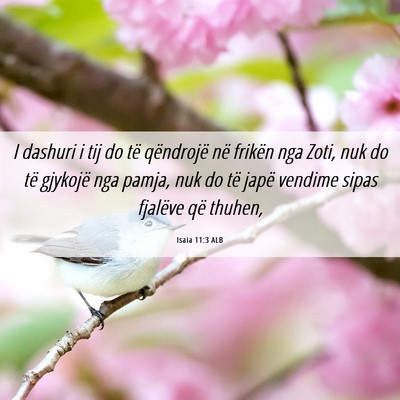 Picture 06 - Isaia 11:3 ALB - I dashuri i tij do të qëndrojë në frikën nga - Bible Verse Picture