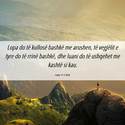 Picture 06 - Isaia 11:7 ALB - Lopa do të kullosë bashkë me arushen, të - Bible Verse Picture