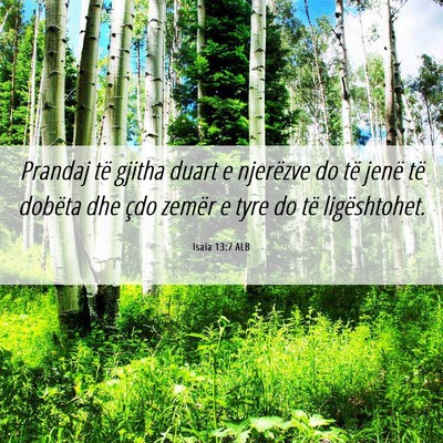 Picture 06 - Isaia 13:7 ALB - Prandaj të gjitha duart e njerëzve do të jenë - Bible Verse Picture