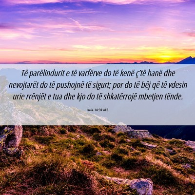 Picture 06 - Isaia 14:30 ALB - Të parëlindurit e të varfërve do të kenë - Bible Verse Picture