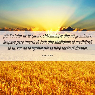 Picture 06 - Isaia 2:21 ALB - për t’u futur në të çarat e shkëmbinjve - Bible Verse Picture