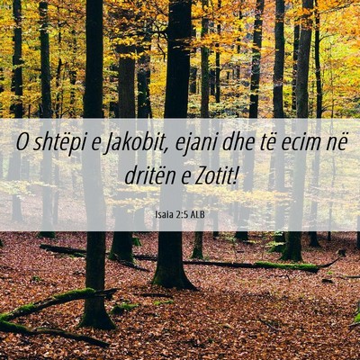 Picture 06 - Isaia 2:5 ALB - O shtëpi e Jakobit, ejani dhe të ecim në - Bible Verse Picture
