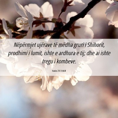 Picture 06 - Isaia 23:3 ALB - Nëpërmjet ujërave të mëdha gruri i Shihorit, - Bible Verse Picture