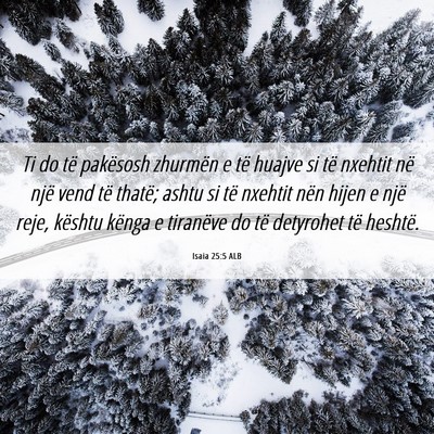 Picture 06 - Isaia 25:5 ALB - Ti do të pakësosh zhurmën e të huajve si të - Bible Verse Picture
