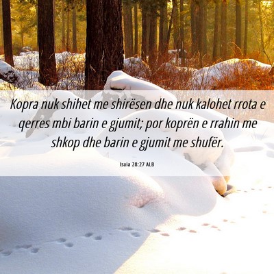 Picture 06 - Isaia 28:27 ALB - Kopra nuk shihet me shirësen dhe nuk kalohet - Bible Verse Picture