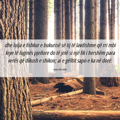 Picture 06 - Isaia 28:4 ALB - dhe lulja e fishkur e bukurisë së tij të - Bible Verse Picture
