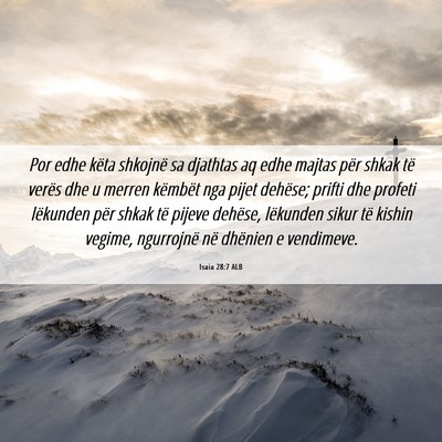 Picture 06 - Isaia 28:7 ALB - Por edhe këta shkojnë sa djathtas aq edhe - Bible Verse Picture