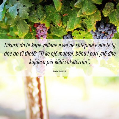 Picture 06 - Isaia 3:6 ALB - Dikush do të kapë vëllanë e vet në - Bible Verse Picture