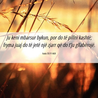 Picture 06 - Isaia 33:11 ALB - Ju keni mbarsur bykun, por do të pillni kashtë; - Bible Verse Picture