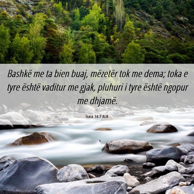 Picture 06 - Isaia 34:7 ALB - Bashkë me ta bien buaj, mëzetër tok me dema; - Bible Verse Picture