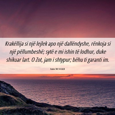 Picture 06 - Isaia 38:14 ALB - Krakëllija si një lejlek apo një dallëndyshe, - Bible Verse Picture