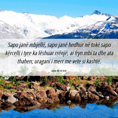 Picture 06 - Isaia 40:24 ALB - Sapo janë mbjellë, sapo janë hedhur në tokë - Bible Verse Picture