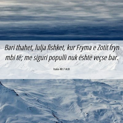 Picture 06 - Isaia 40:7 ALB - Bari thahet, lulja fishket, kur Fryma e Zotit - Bible Verse Picture