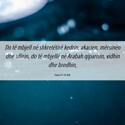 Picture 06 - Isaia 41:19 ALB - Do të mbjell në shkretëtirë kedrin, akacien, - Bible Verse Picture