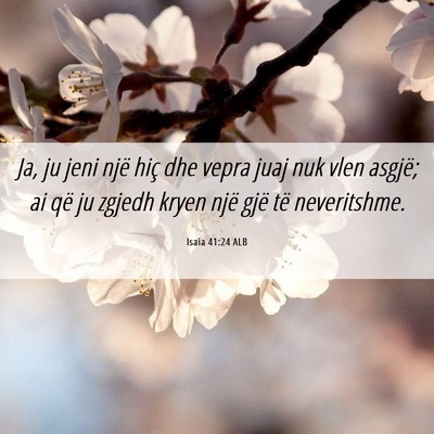 Picture 06 - Isaia 41:24 ALB - Ja, ju jeni një hiç dhe vepra juaj nuk vlen - Bible Verse Picture