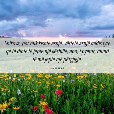 Picture 06 - Isaia 41:28 ALB - Shikova, por nuk kishte asnjë, vërtetë asnjë - Bible Verse Picture