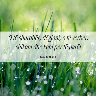 Picture 06 - Isaia 42:18 ALB - O të shurdhër, dëgjoni; o të verbër, shikoni - Bible Verse Picture