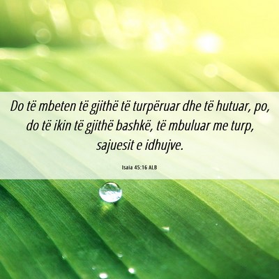 Picture 06 - Isaia 45:16 ALB - Do të mbeten të gjithë të turpëruar dhe të - Bible Verse Picture