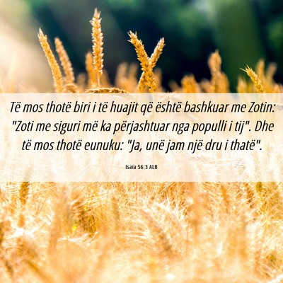 Picture 06 - Isaia 56:3 ALB - Të mos thotë biri i të huajit që është - Bible Verse Picture
