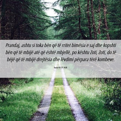 Picture 06 - Isaia 61:11 ALB - Prandaj, ashtu si toka bën që të rritet - Bible Verse Picture