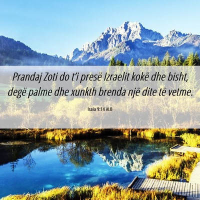 Picture 06 - Isaia 9:14 ALB - Prandaj Zoti do t’i presë Izraelit kokë dhe - Bible Verse Picture