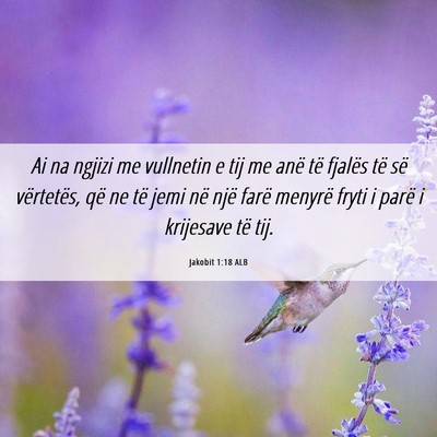 Picture 06 - Jakobit 1:18 ALB - Ai na ngjizi me vullnetin e tij me anë të - Bible Verse Picture