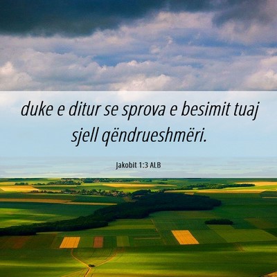 Picture 06 - Jakobit 1:3 ALB - duke e ditur se sprova e besimit tuaj sjell - Bible Verse Picture
