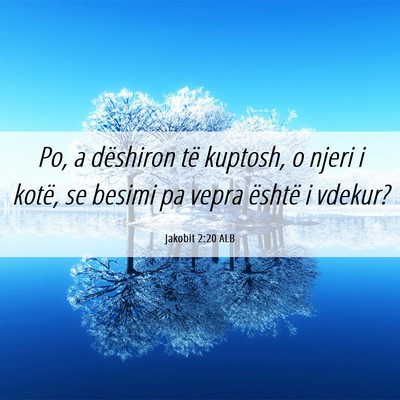 Picture 06 - Jakobit 2:20 ALB - Po, a dëshiron të kuptosh, o njeri i kotë, se - Bible Verse Picture