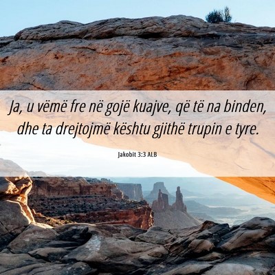 Picture 06 - Jakobit 3:3 ALB - Ja, u vëmë fre në gojë kuajve, që të na - Bible Verse Picture