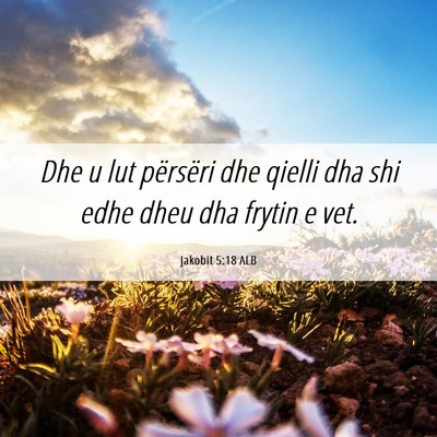 Picture 06 - Jakobit 5:18 ALB - Dhe u lut përsëri dhe qielli dha shi edhe dheu - Bible Verse Picture