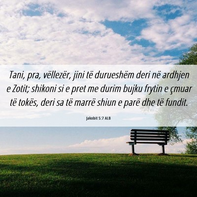 Picture 06 - Jakobit 5:7 ALB - Tani, pra, vëllezër, jini të durueshëm deri - Bible Verse Picture
