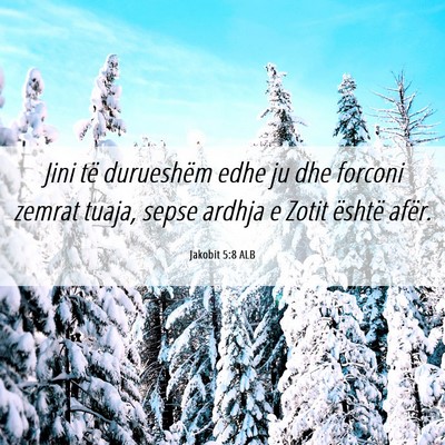 Picture 06 - Jakobit 5:8 ALB - Jini të durueshëm edhe ju dhe forconi zemrat - Bible Verse Picture