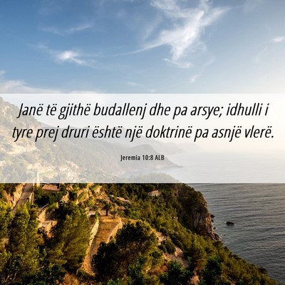 Picture 06 - Jeremia 10:8 ALB - Janë të gjithë budallenj dhe pa arsye; idhulli - Bible Verse Picture