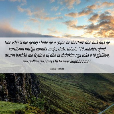 Picture 06 - Jeremia 11:19 ALB - Unë isha si një qengj i butë që e çojnë në - Bible Verse Picture