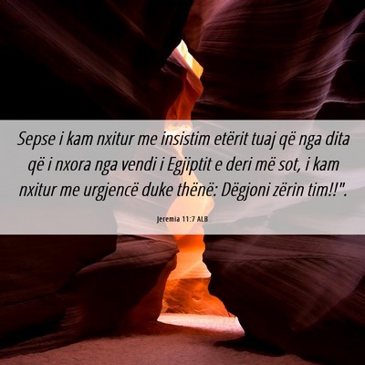Picture 06 - Jeremia 11:7 ALB - Sepse i kam nxitur me insistim etërit tuaj që - Bible Verse Picture