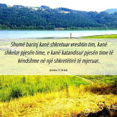 Picture 06 - Jeremia 12:10 ALB - Shumë barinj kanë shkretuar vreshtin tim, kanë - Bible Verse Picture