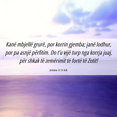 Picture 06 - Jeremia 12:13 ALB - Kanë mbjellë grurë, por korrin gjemba; janë - Bible Verse Picture