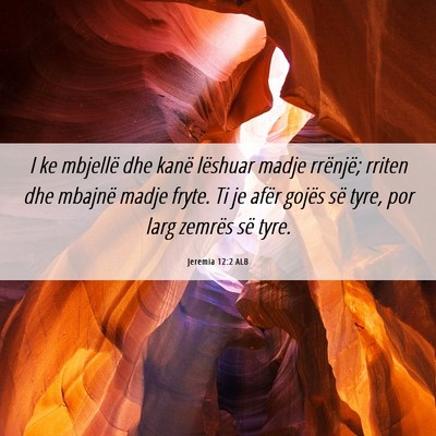 Picture 06 - Jeremia 12:2 ALB - I ke mbjellë dhe kanë lëshuar madje rrënjë; - Bible Verse Picture
