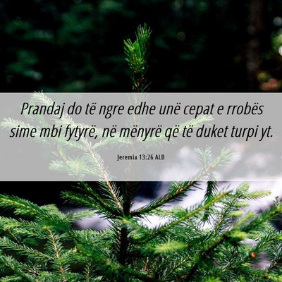 Picture 06 - Jeremia 13:26 ALB - Prandaj do të ngre edhe unë cepat e rrobës - Bible Verse Picture