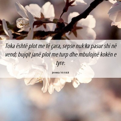 Picture 06 - Jeremia 14:4 ALB - Toka është plot me të çara, sepse nuk ka - Bible Verse Picture