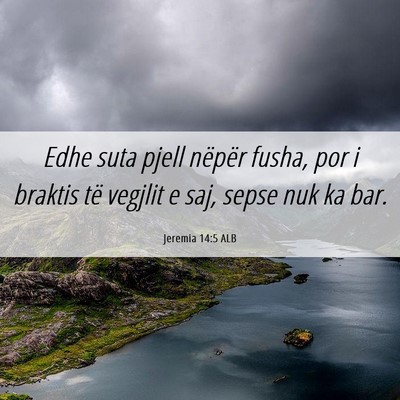 Picture 06 - Jeremia 14:5 ALB - Edhe suta pjell nëpër fusha, por i braktis të - Bible Verse Picture
