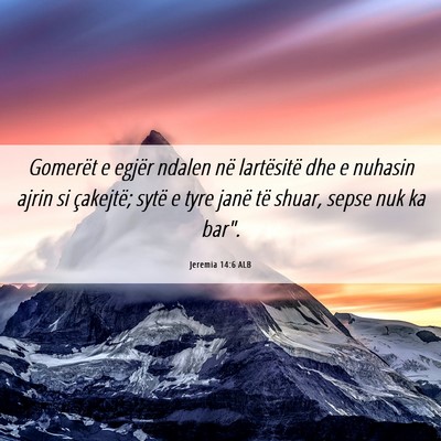 Picture 06 - Jeremia 14:6 ALB - Gomerët e egjër ndalen në lartësitë dhe e - Bible Verse Picture