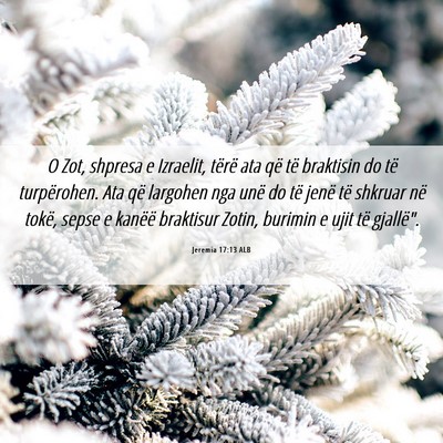 Picture 06 - Jeremia 17:13 ALB - O Zot, shpresa e Izraelit, tërë ata që të - Bible Verse Picture
