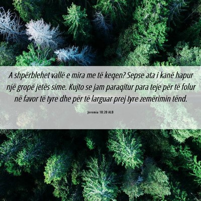 Picture 06 - Jeremia 18:20 ALB - A shpërblehet vallë e mira me të keqen? Sepse - Bible Verse Picture