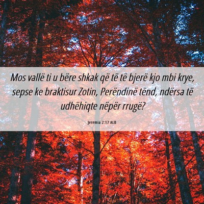 Picture 06 - Jeremia 2:17 ALB - Mos vallë ti u bëre shkak që të të bjerë - Bible Verse Picture