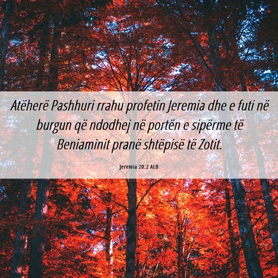 Picture 06 - Jeremia 20:2 ALB - Atëherë Pashhuri rrahu profetin Jeremia dhe e - Bible Verse Picture