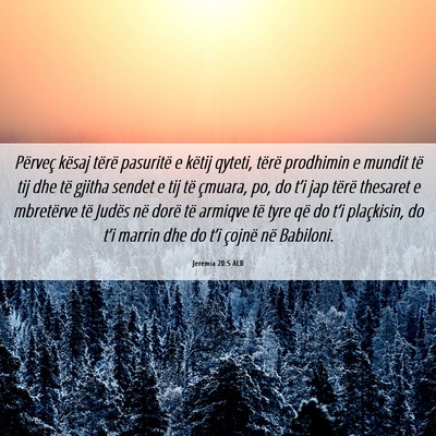 Picture 06 - Jeremia 20:5 ALB - Përveç kësaj tërë pasuritë e këtij qyteti, - Bible Verse Picture